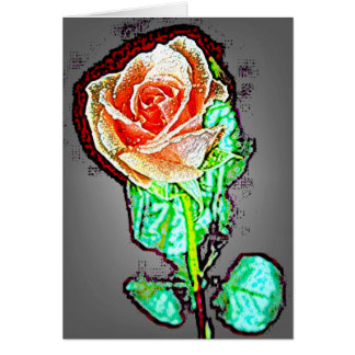 Rose 14