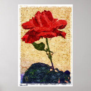 rose 1 poster