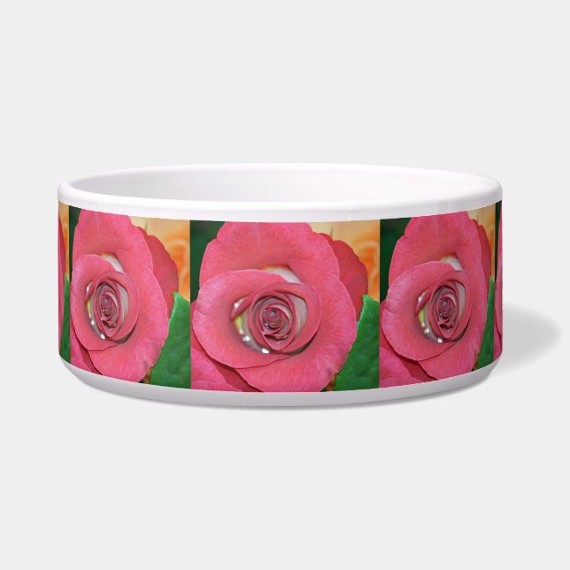 Rose_2015_0411 (Front)