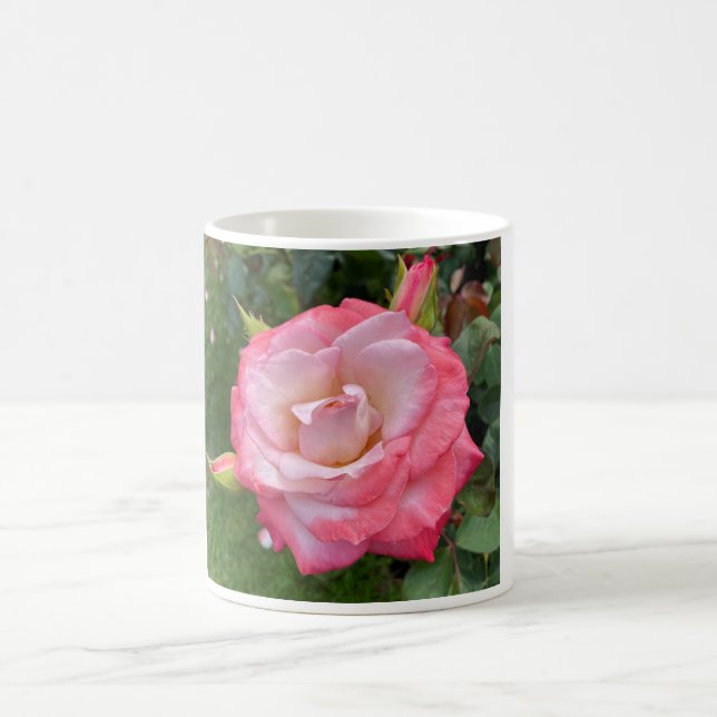Rose #3 Mug (Center)