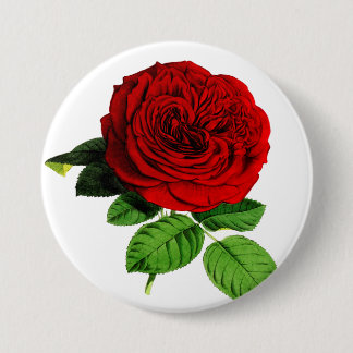 Rose 7.5 Cm Round Badge