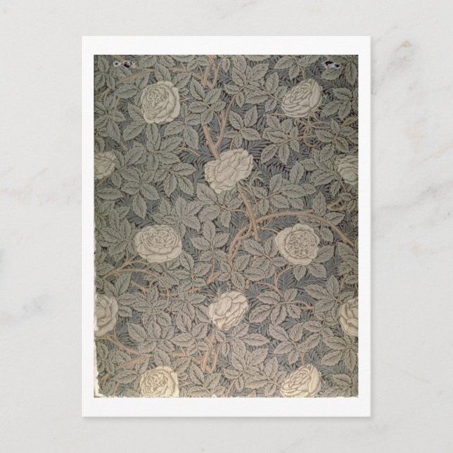 'Rose-90' wallpaper design Postcard (Front)