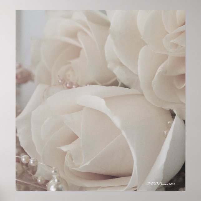 Rose 9 poster (Front)