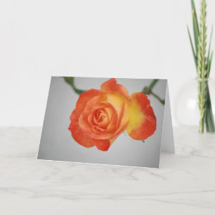 Rose a Fire Card