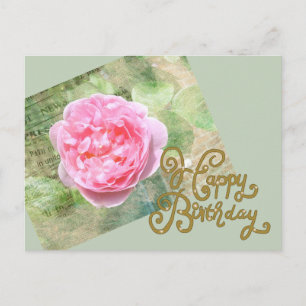 Rose an der Wand Postcard