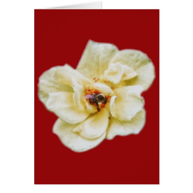 Rose and Bee (Front)