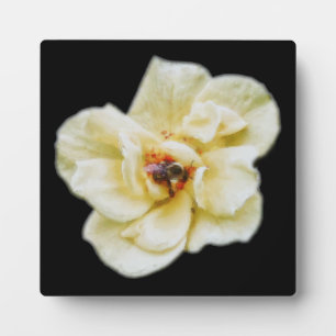 Rose and Bee Plaque