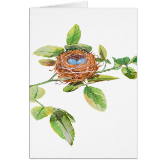 Rose and Bunting