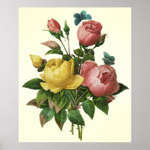Rose and Butterfly Bouquet, Pierre Redoute Poster