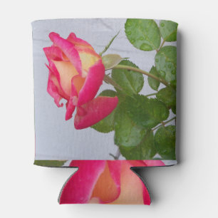 Rose and grey stucco wall can cooler