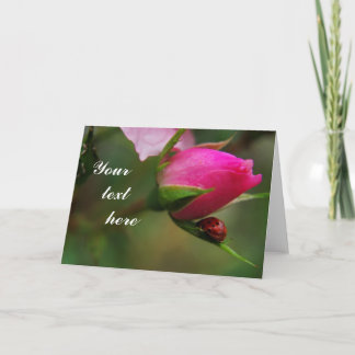 Rose and ladybug greeting card