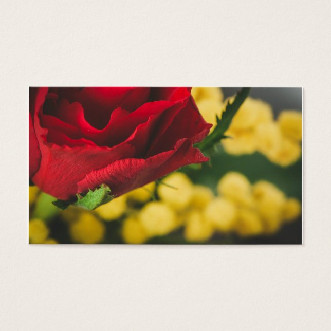 Rose and mimosas (Front)