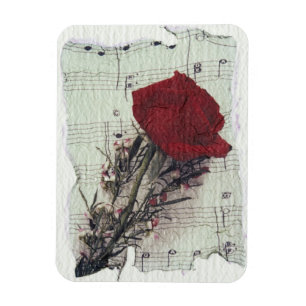 <Rose and Music> by Kim Koza 2 Magnet