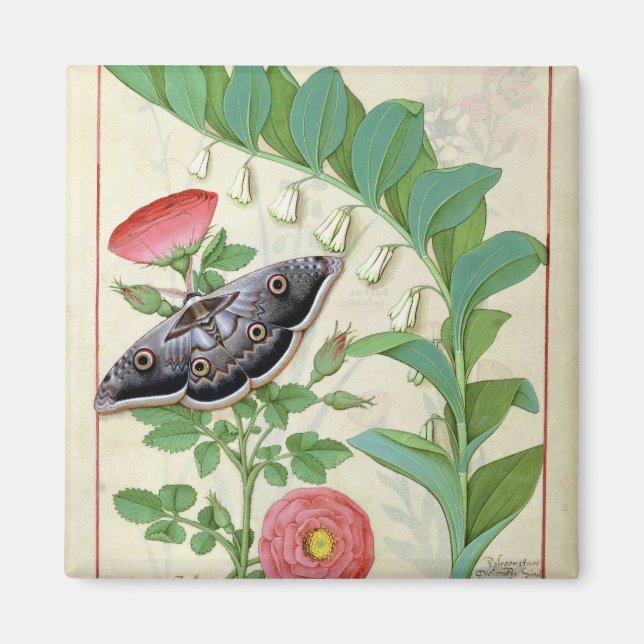 Rose and Polygonatum Magnet (Front)