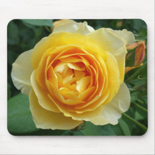 rose and rosebud mouse pad