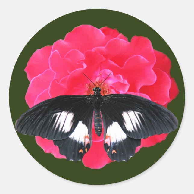 Rose and Swallowtail Classic Round Sticker (Front)