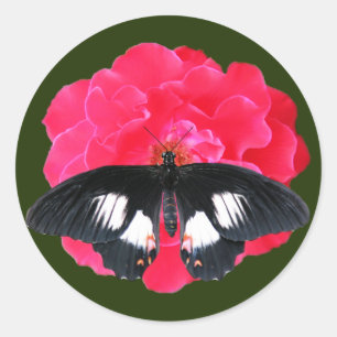 Rose and Swallowtail Classic Round Sticker