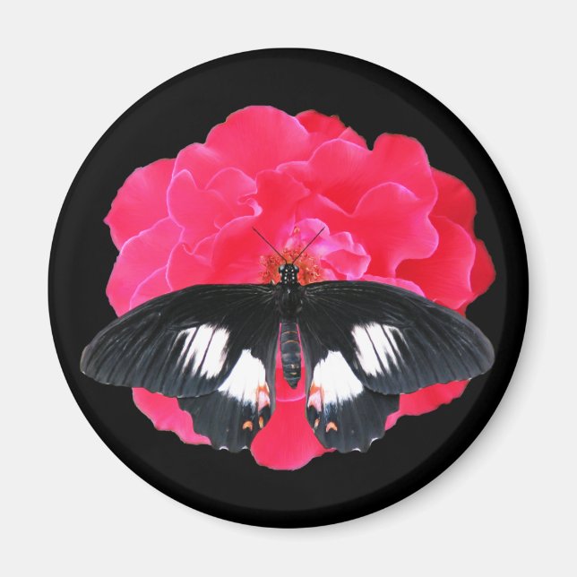 Rose and Swallowtail Magnet (Front)