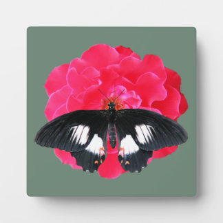 Rose and Swallowtail Plaque