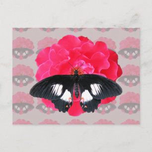 Rose and Swallowtail Postcard