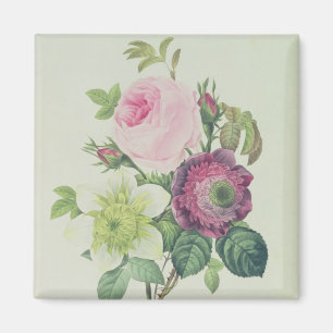 Rose, anemone and Clematide Magnet