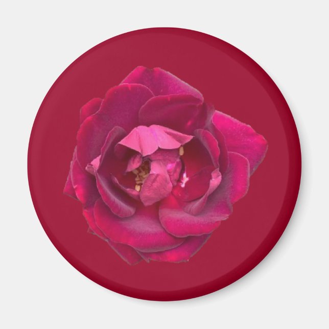 Rose B Magnet (Front)
