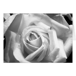 Rose B/W Card