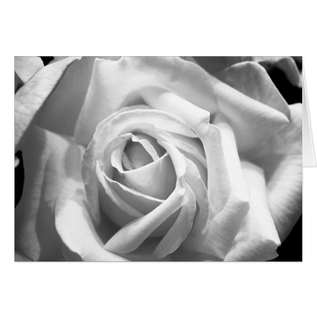 Rose B/W Card (Front Horizontal)