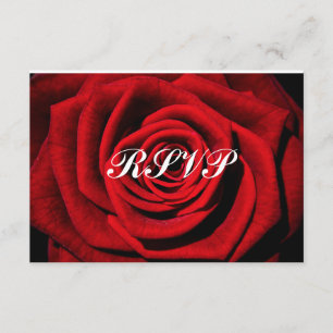 Rose Background Flower Wedding/Sweet Sixteen RSVP Card