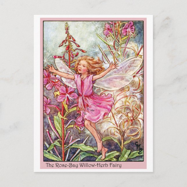 Rose-Bay Wilow-Herb Fairy Postcard (Front)