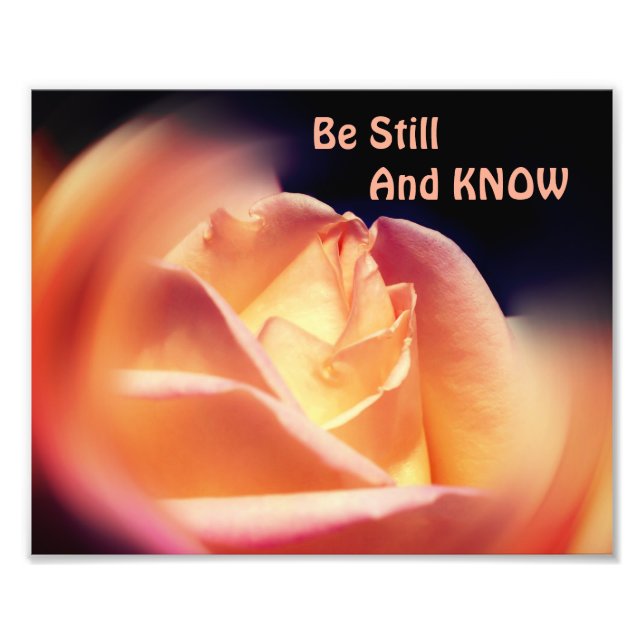 Rose Be Still And Know Inspirational Quote 8x10 Photo Print (Front)