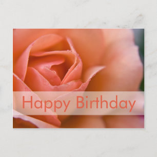 Rose Birthday Postcard Geburtstagskarte Rose