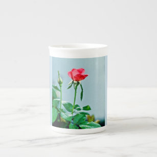 Rose bloom and bud on bone china mug