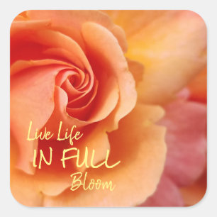 Rose Blossom / Apricot Peach / Inspirational Quote Square Sticker