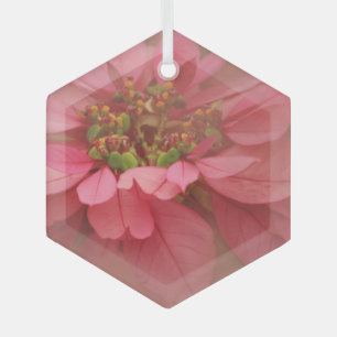 Rose Blush Poinsettias Digital Art Glass Ornament