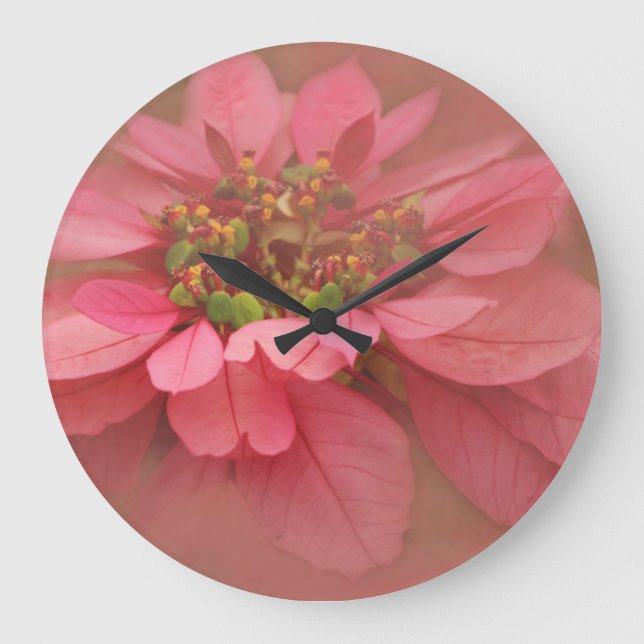 Rose Blush Poinsettias Digital Art Large Clock (Front)