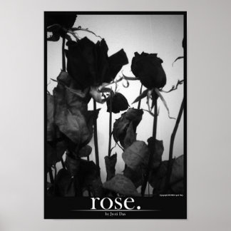 rose [border] poster