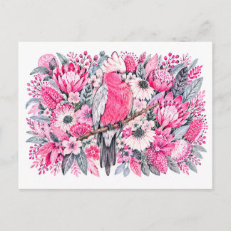 Rose Breasted Cockatoo Pink Protea Watercolor Postcard