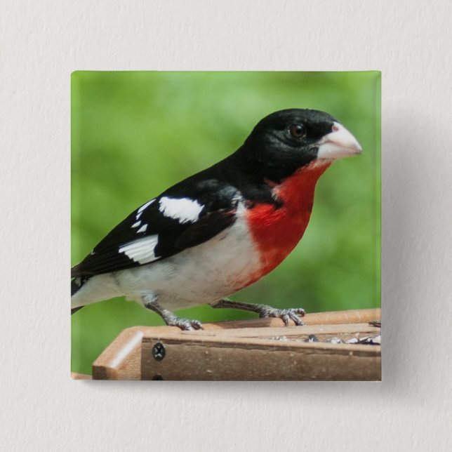 Rose-breasted Grosbeak 15 Cm Square Badge (Front)