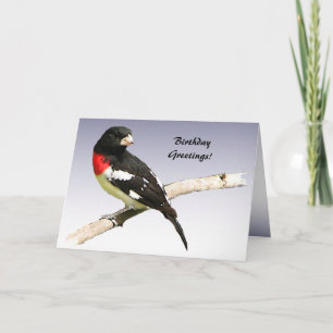 Rose-breasted Grosbeak Birthday Card