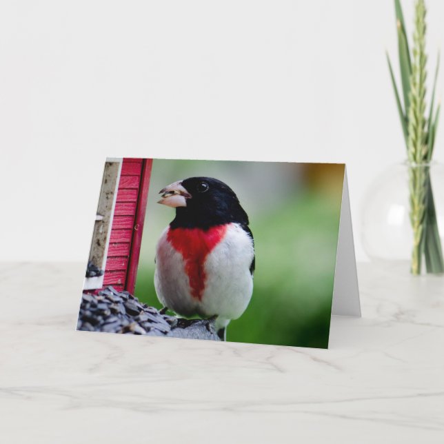 Rose-breasted Grosbeak Card (Front)