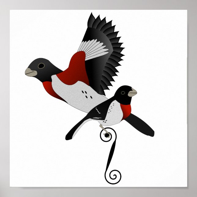 Rose Breasted Grosbeak Cardinal Bird Poster (Front)