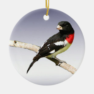 Rose-breasted Grosbeak Ceramic Tree Decoration