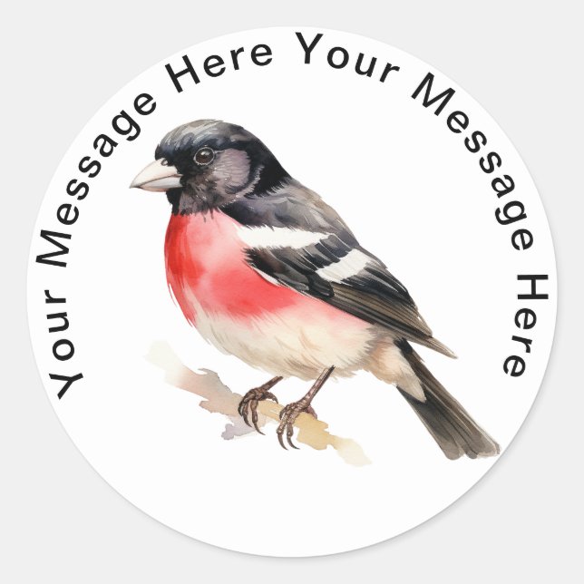 Rose-breasted Grosbeak Classic Round Sticker (Front)