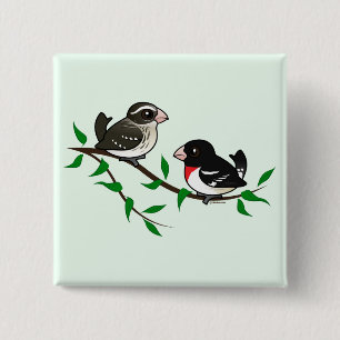 Rose-breasted Grosbeak Couple 15 Cm Square Badge
