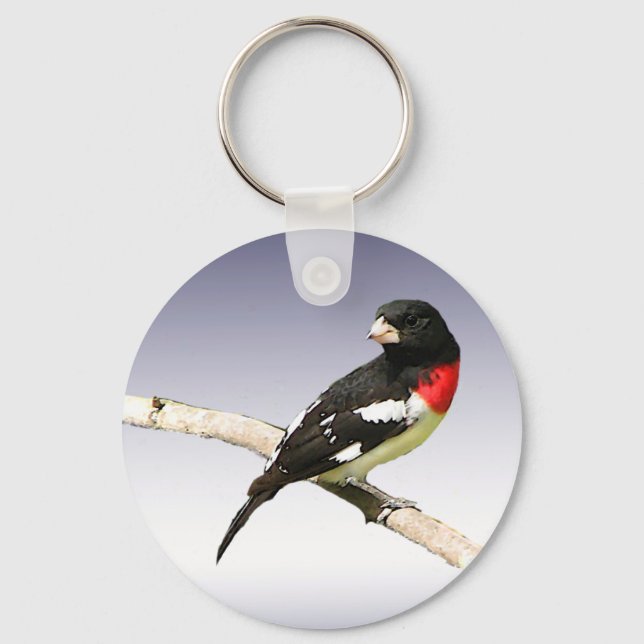 Rose-breasted Grosbeak Key Ring (Front)
