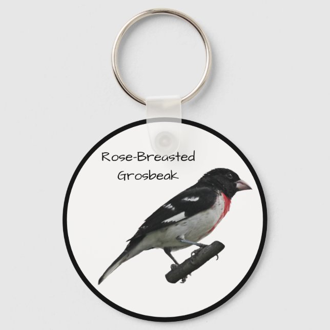 Rose-Breasted Grosbeak Key Ring (Front)