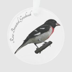 Rose-Breasted Grosbeak Ornament