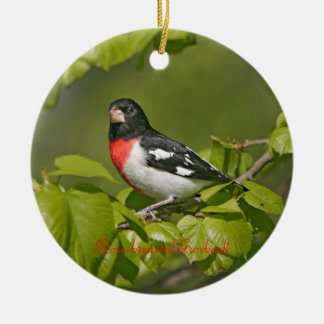 Rose-breasted Grosbeak Photography Round Ceramic Tree Decoration