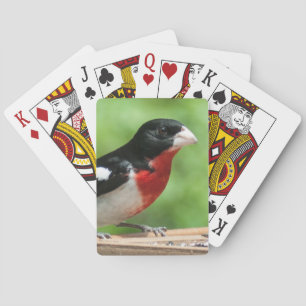 Rose-breasted Grosbeak Playing Cards